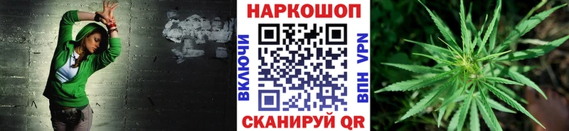 Псилоцибиновые грибы Теберда