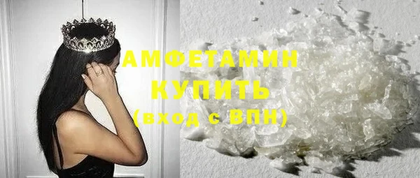 гидра Арсеньев