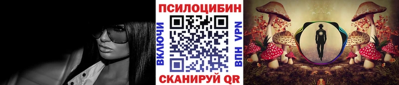Псилоцибиновые грибы мицелий  где продают наркотики  Теберда 